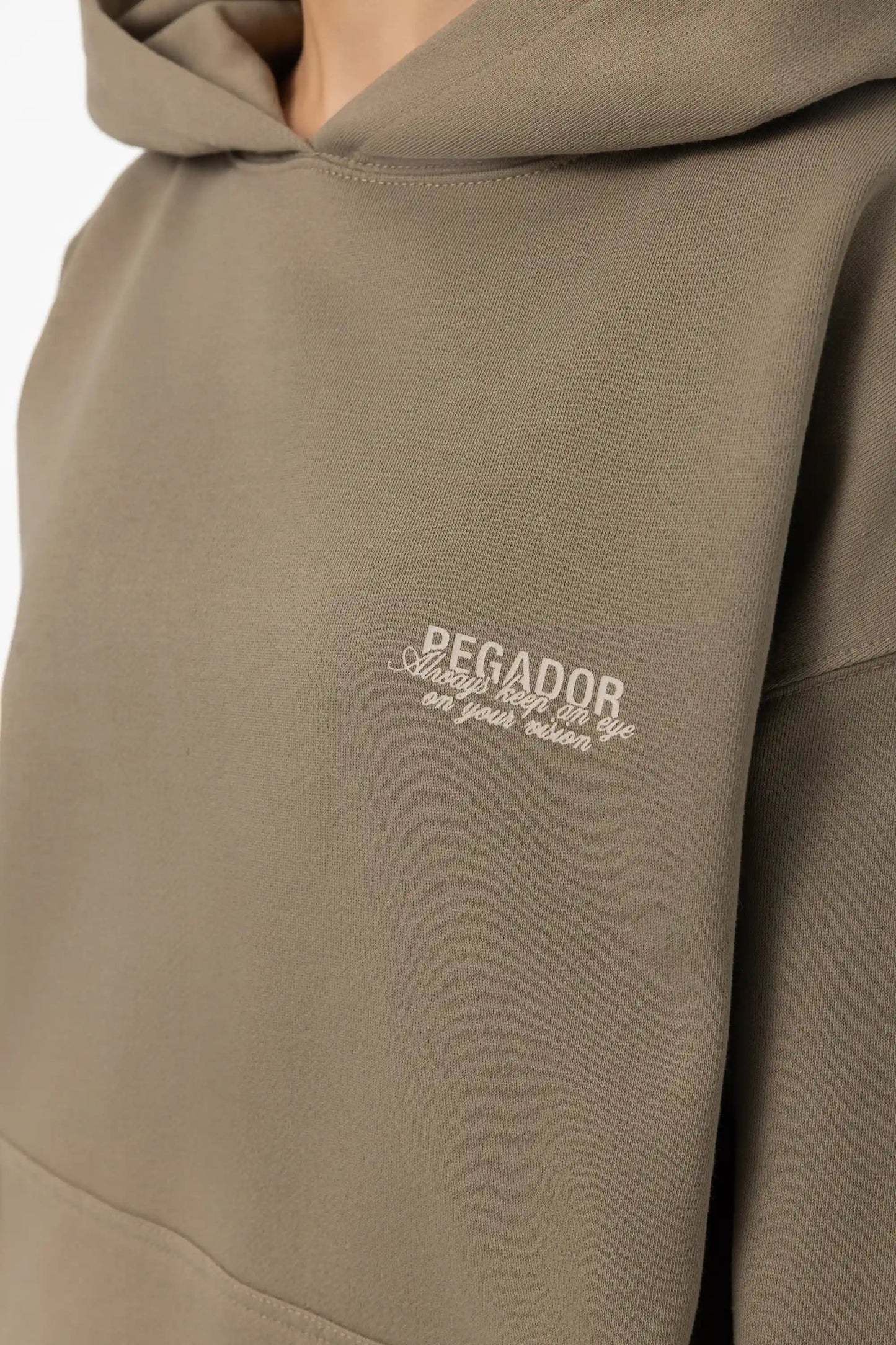 PEGADOR AKIRA OVERSIZED HOODIE WASHED DESERT TAUPE WASHED DESERT TAUPE Bild 6
