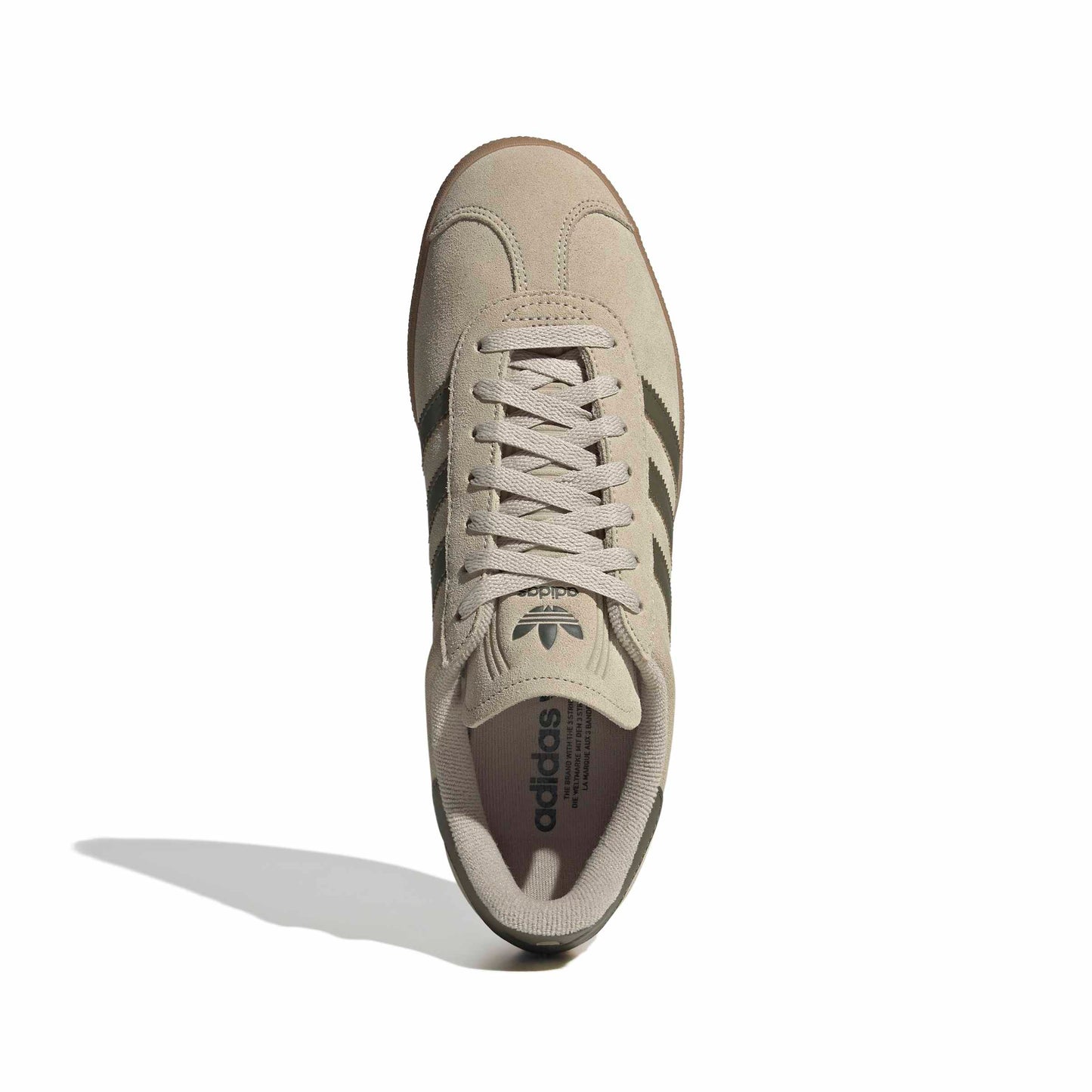 GAZELLE KHATHR/OLISTR/GUM4 Bild 9