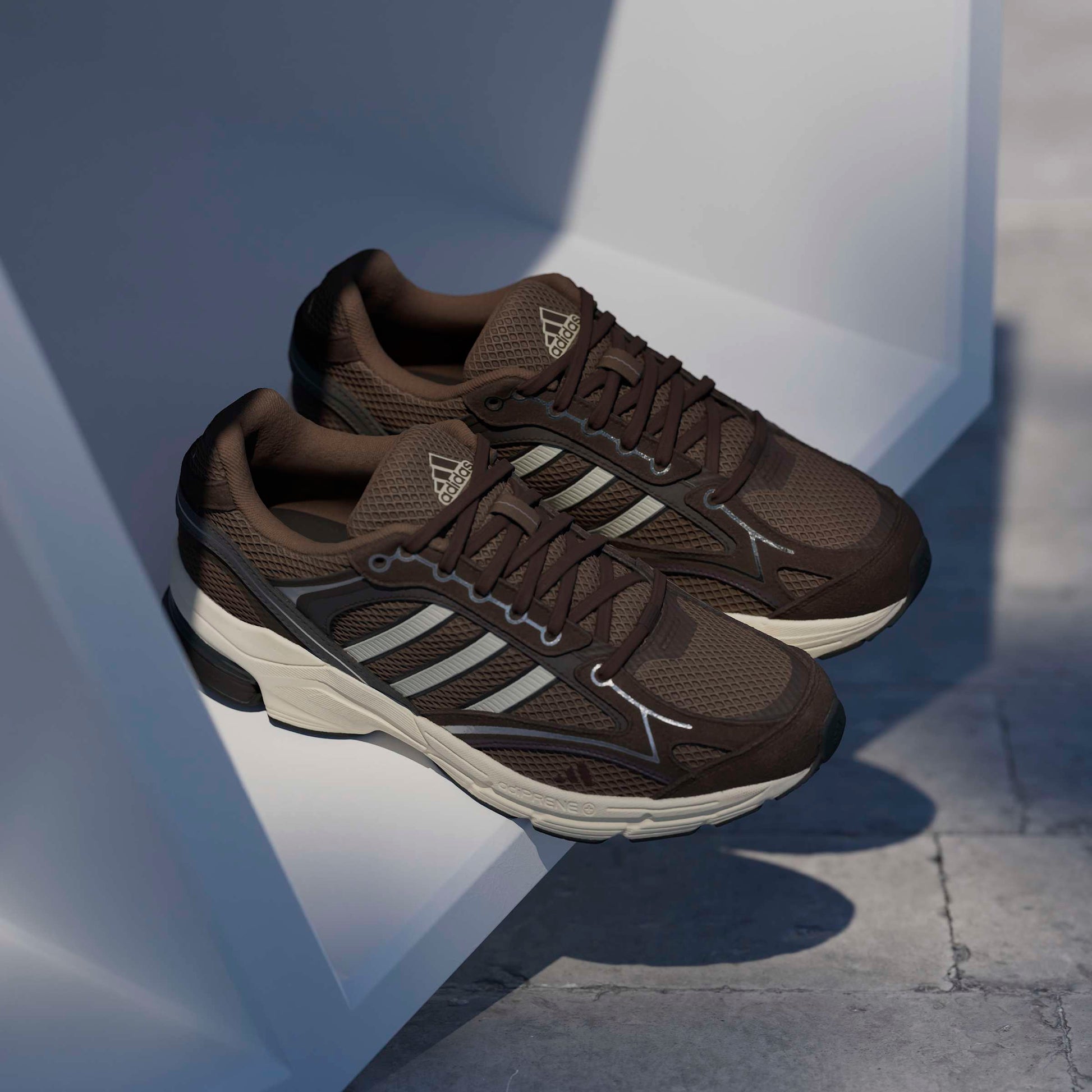 ADIDAS SPIRITAIN 2000 EARSTR/ALUMIN/DBROWN Bild 6
