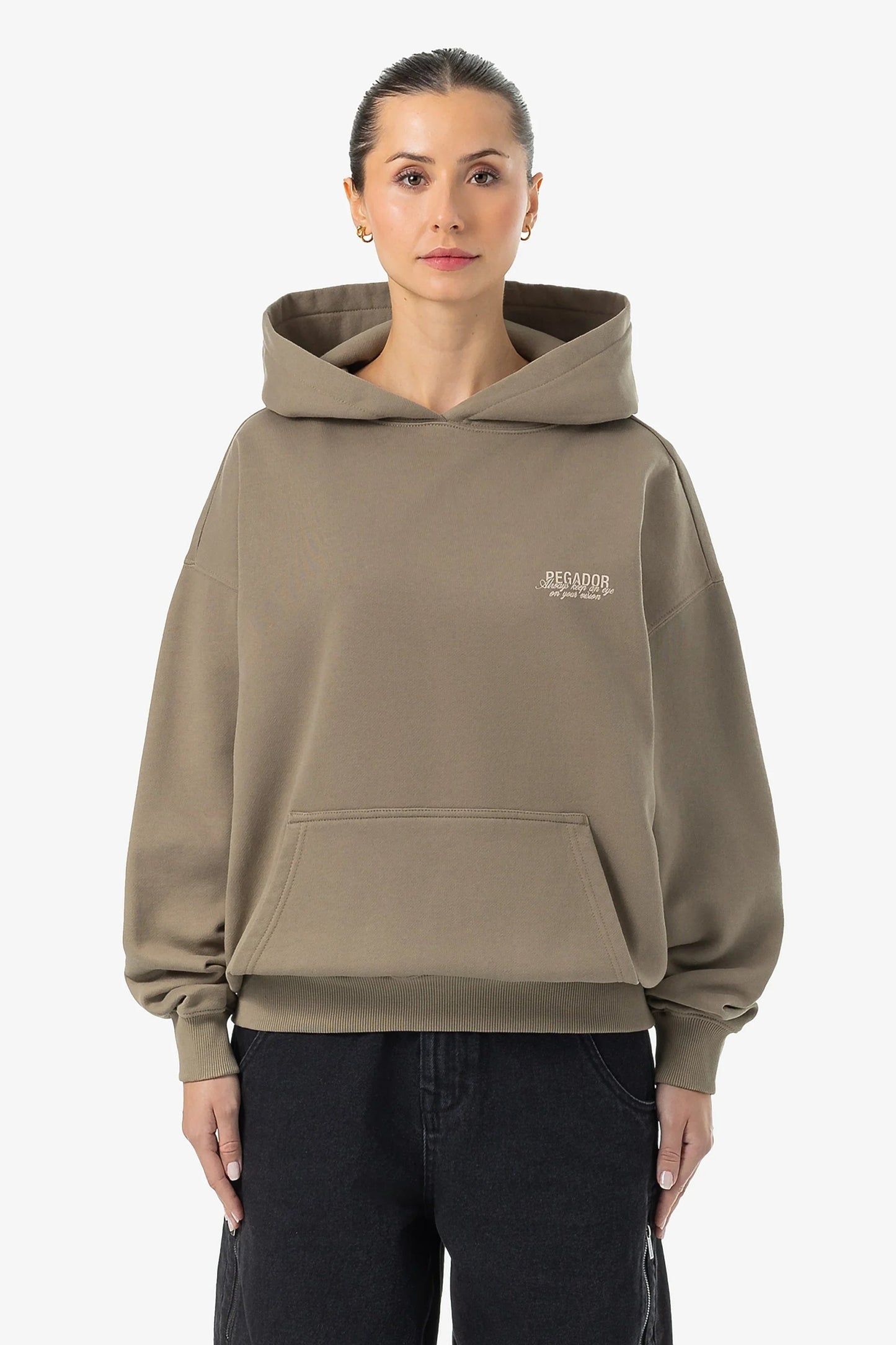 PEGADOR AKIRA OVERSIZED HOODIE WASHED DESERT TAUPE WASHED DESERT TAUPE Bild 3