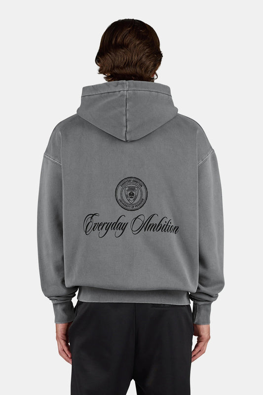 PEGADOR PATRON OVERSIZED HOODIE VINTAGE GREY VINTAGE GREY Bild 1