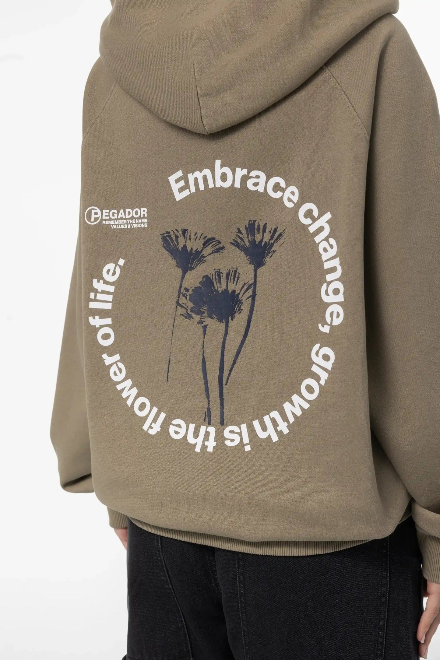 PEGADOR ROYA OVERSIZED RAGLAN HOODIE WASHED DESERT TAUPE WASHED DESERT TAUPE Bild 5