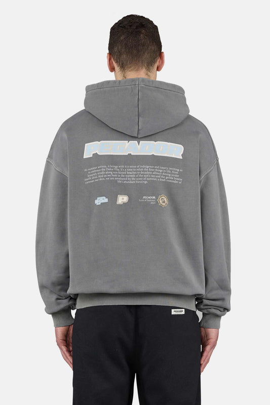 PEGADOR SENTINAL OVERSIZED HOODIE VINTAGE GREY VINTAGE GREY VINTAGE GREY Bild 1